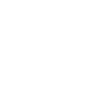 FORTIC